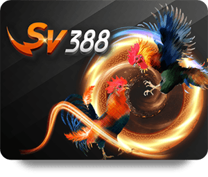 SBOTOP Review Chuyên Môn: Enhancing Your Online Gambling Experience